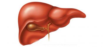 Chức năng gan với cơ thể 