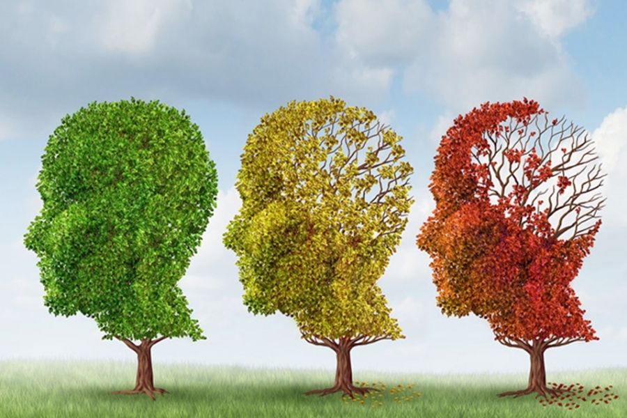 Triệu chứng bệnh Alzheimer